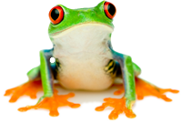 LilyPad Mobile